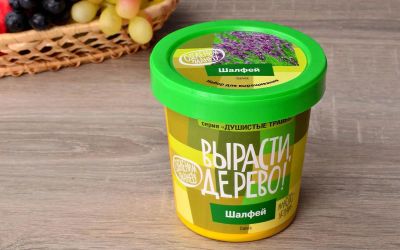 Лот: 12720071. Фото: 1. Вырасти дерево: Шалфей. Настольные игры, карты