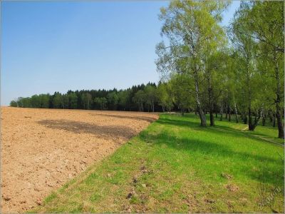 Лот: 5587492. Фото: 1. Земельный участок. Земельные участки