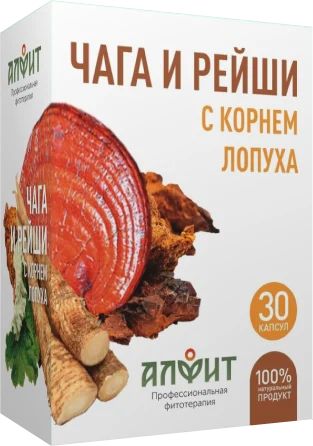 Лот: 9897424. Фото: 1. Чага, гриб рейши с корнем лопуха... Народная медицина, БАДы