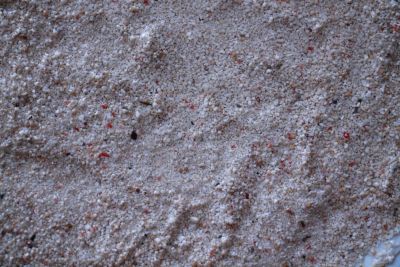 Лот: 3924507. Фото: 1. Живой коралловый песок. Грунт... Грунты, украшения, наполнения