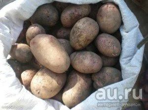 Лот: 8013699. Фото: 1. картошка. Картофель