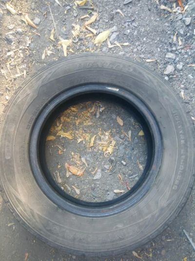 Лот: 14626890. Фото: 1. Dunlop winter maxx. Шины