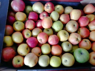 Лот: 15949664. Фото: 1. Лот №9, яблоки некондиция. Овощи, фрукты, зелень