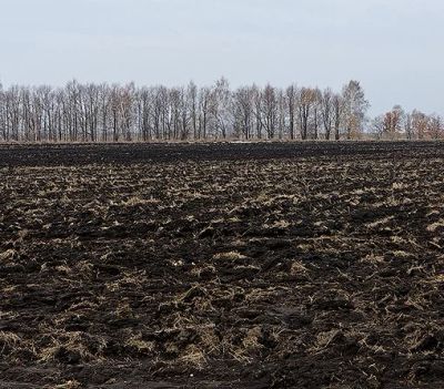 Лот: 3840777. Фото: 1. Земля, культивируемая, в собственности... Земельные участки