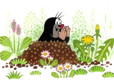 Лот: 5510546. Фото: 1. мотокультиватор | культиватор... Другое (садовая техника)