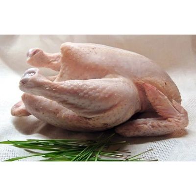 Лот: 7165879. Фото: 1. тушки бройлеров .мясо.курица. Мясо, птица, яйцо