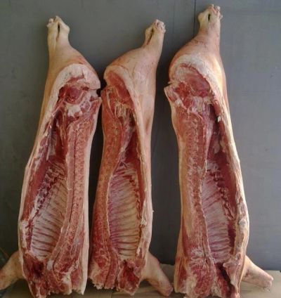Лот: 6856097. Фото: 1. МЯСО свинины охлажденное в тушах... Мясо, птица, яйцо