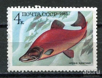 Лот: 15765500. Фото: 1. 1983 СССР Рыба Нерка красная Животные... Марки