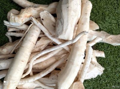 Лот: 16424735. Фото: 1. Корень хрена 1 кг. Овощи, фрукты, зелень