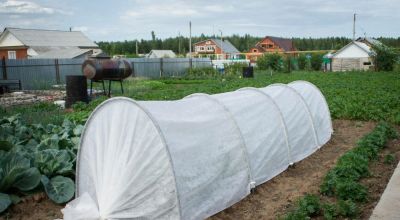 Лот: 7188475. Фото: 1. Парники Малышок 6м (дуги п/э 2м... Парники