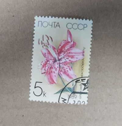 Лот: 19511430. Фото: 1. с 1 рубля. Марки (№68 - 10.10... Марки