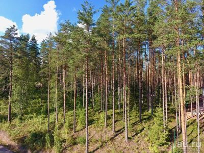 Лот: 18335343. Фото: 1. Куплю землю в Манском. Земельные участки