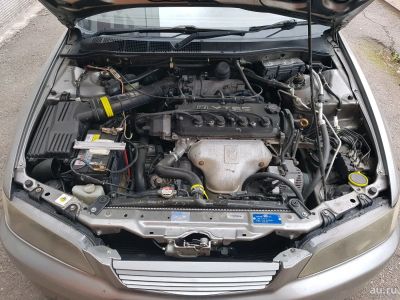 Лот: 9937438. Фото: 1. Honda accord 1998. Автомобили