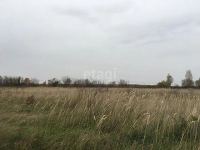 Лот: 25292629. Фото: 1. участок , Сосновоборск Сосновоборск... Земельные участки