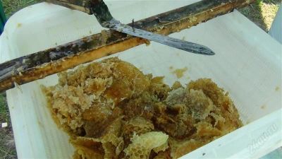 Лот: 2500612. Фото: 1. Забрус 1 кг - 600руб. Свеженький... Мёд, продукты пчеловодства