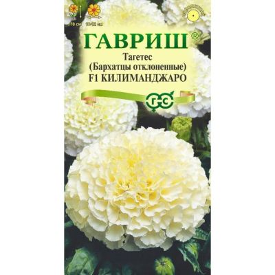 Лот: 24683730. Фото: 1. Семена Цветы, Бархатцы, Килиманджаро... Другое (семена, рассада, садовые растения)
