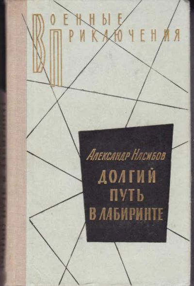 Лот: 12294598. Фото: 1. Долгий путь в лабиринте Серия... Художественная