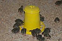 Лот: 9174010. Фото: 1. Кормушка бункерная 2,25л. Домики, переноски, клетки, когтеточки