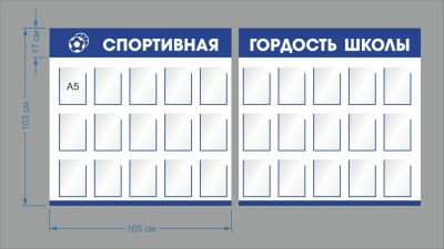 Лот: 11278900. Фото: 1. Стенд "Спортивная гордость школы... Другое (учёба (школа, вуз))