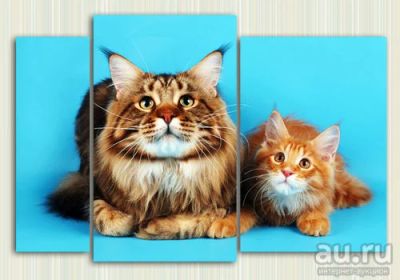 Лот: 9434450. Фото: 1. Модульная картина «Любопытная... Холсты чистые
