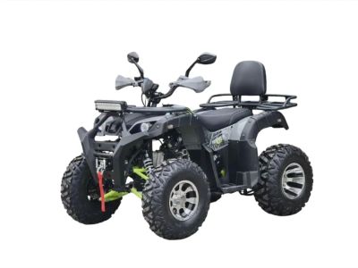 Лот: 25771608. Фото: 1. Квадроциклы RMOTO LION X 200. Снегоходы, квадроциклы