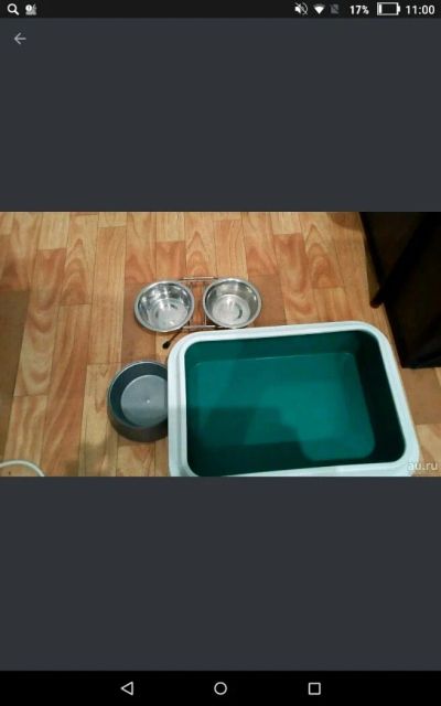 Лот: 14466130. Фото: 1. Миски для кота. Миски, лотки, наполнители