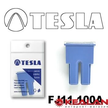 Лот: 8599183. Фото: 1. TESLA FJ11 100A предохранитель... Расходные материалы