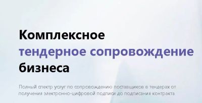Лот: 15145507. Фото: 1. Электронная подпись ЭЦП (тендера... Другое (бизнес)