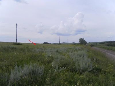 Лот: 3900377. Фото: 1. Сдам в аренду с\х землю до 20... Земельные участки