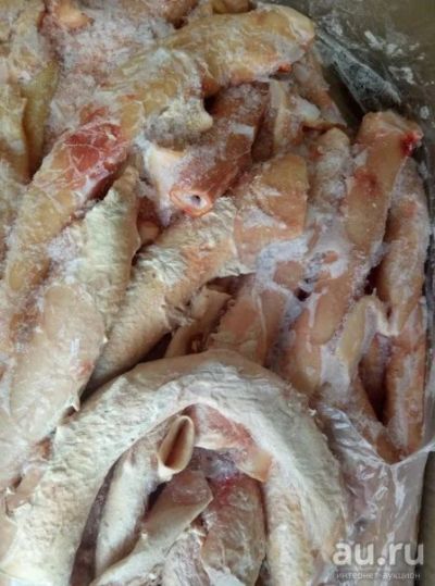 Лот: 13308248. Фото: 1. Аорта говяжья.Мясо для собак и... Корма
