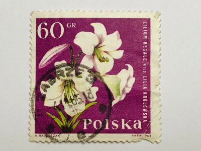 Лот: 23316435. Фото: 1. Цветы. Королевская лилия. 60 грошей... Марки