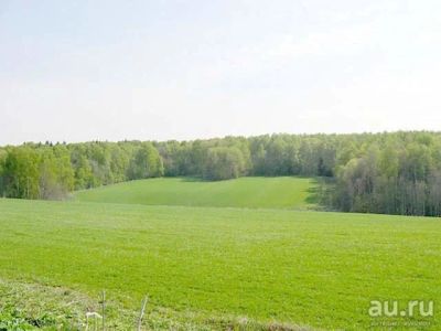 Лот: 13524693. Фото: 1. земля. Земельные участки