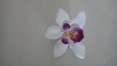 Лот: 2665344. Фото: 1. заколка для волос. Другое (красота и здоровье)