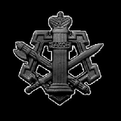 Лот: 5036055. Фото: 1. Эмблема ФСИН черная. Обмундирование