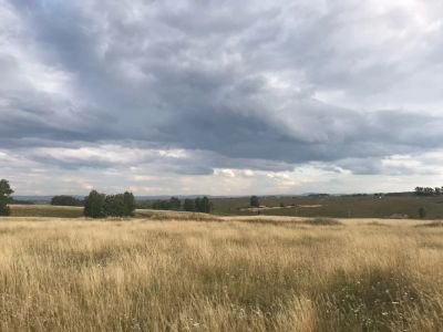 Лот: 12033384. Фото: 1. участок Старцево. Земельные участки
