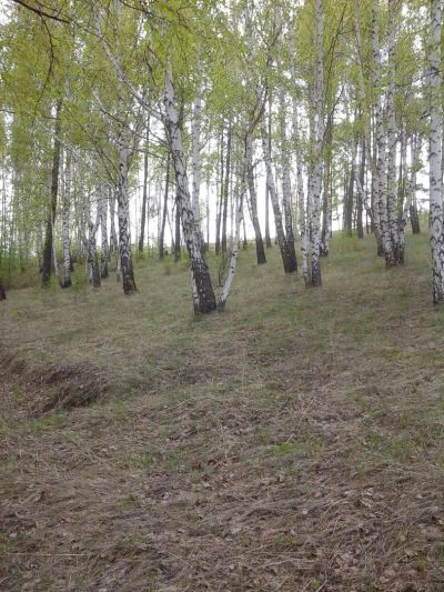 Лот: 7603279. Фото: 1. земля. Земельные участки