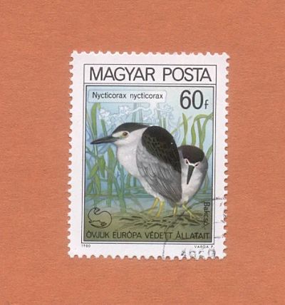 Лот: 10981063. Фото: 1. Марка "Птицы". 1980. Венгрия. Марки