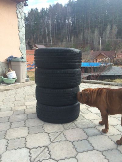 Лот: 7372086. Фото: 1. Шины Bridgestone Potenza. Шины