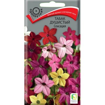 Лот: 24642600. Фото: 1. Семена Цветы, Табак душистый... Другое (семена, рассада, садовые растения)