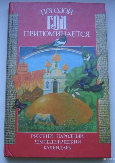 Лот: 17640809. Фото: 1. Ховратович Б.М. Погодой год припоминается... Домоводство