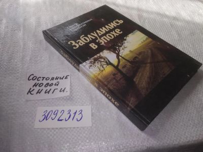 Лот: 23643926. Фото: 1. (3092313)Заблудились в эпохе... Публицистика, документальная проза
