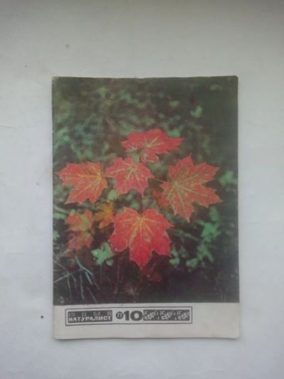 Лот: 24685910. Фото: 1. Журнал Юный Натуралист .№10- 1977... Детские
