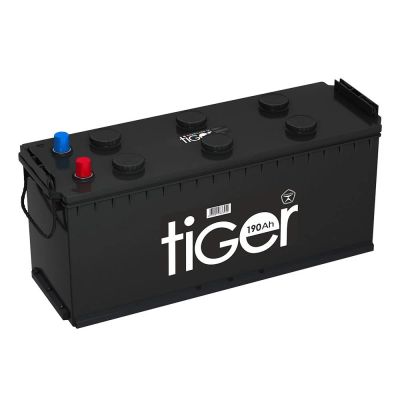 Лот: 16840372. Фото: 1. Аккумулятор Tiger (Рязань) 190... Аккумуляторы