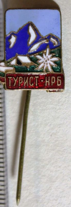 Лот: 19308197. Фото: 1. Значёк альпинист , эдельвейс... Другое (значки, медали, жетоны)
