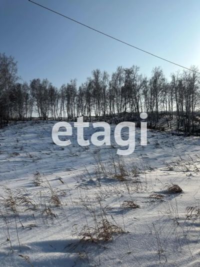 Лот: 25293652. Фото: 1. участок , СТ Пионер СТ Пионер... Земельные участки