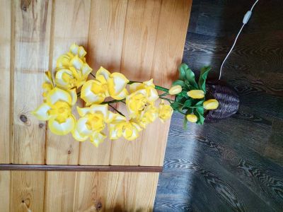 Лот: 14947345. Фото: 1. Орхидея ночник. Другое освещение