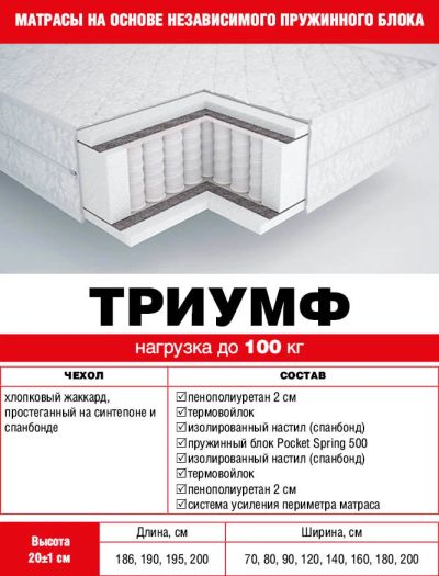 Лот: 10418945. Фото: 1. Матрас ортопедический «Триумф... Матрасы