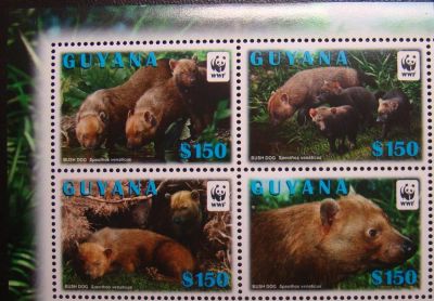Лот: 10442988. Фото: 1. Гайана 2011 пс сц WWF MNH. Марки