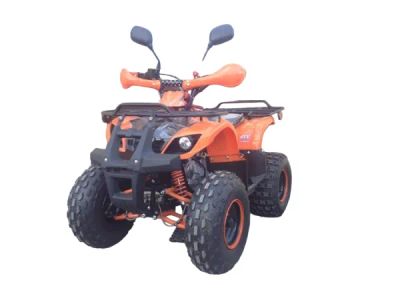 Лот: 25363076. Фото: 1. Квадроцикл ATV Termit Libre. Снегоходы, квадроциклы