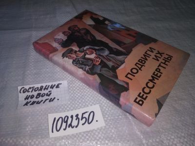 Лот: 21241851. Фото: 1. (1092350) Подвиги их бессмертны... Мемуары, биографии